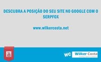 Descubra a posição do seu site no Google com o Serpfox