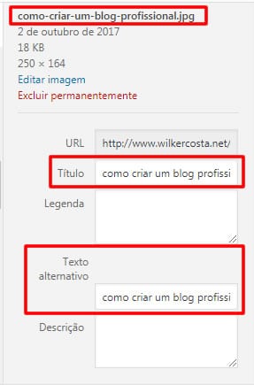 print midias wilker costa