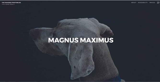Magnus