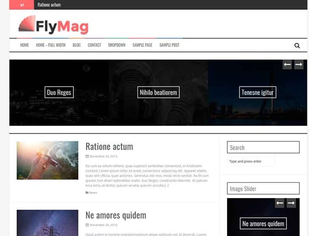 Flymag
