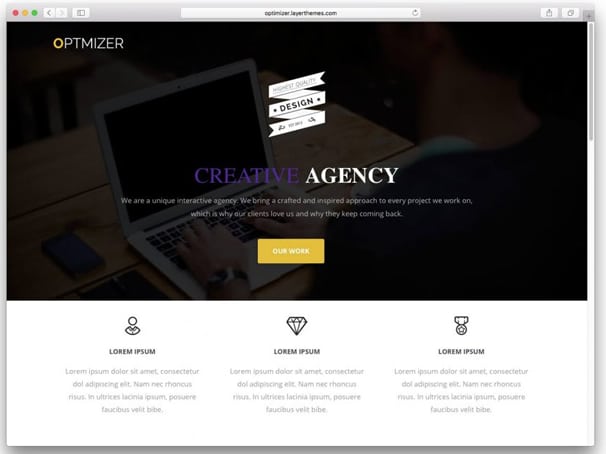 Optimizer