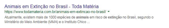 endereço do site em primeiro lugar