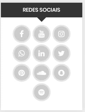 widget redes sociais