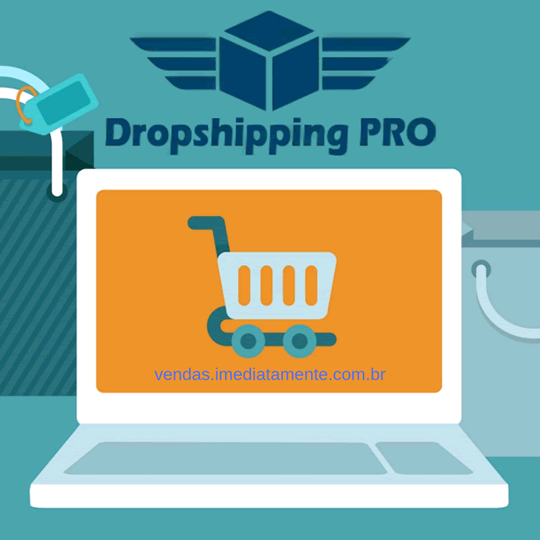 guia dropshipping pro