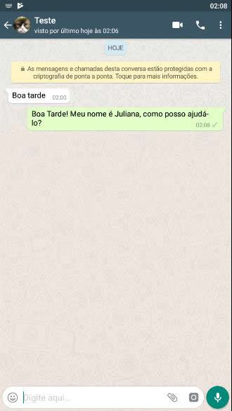 imagem whatsapp business 5