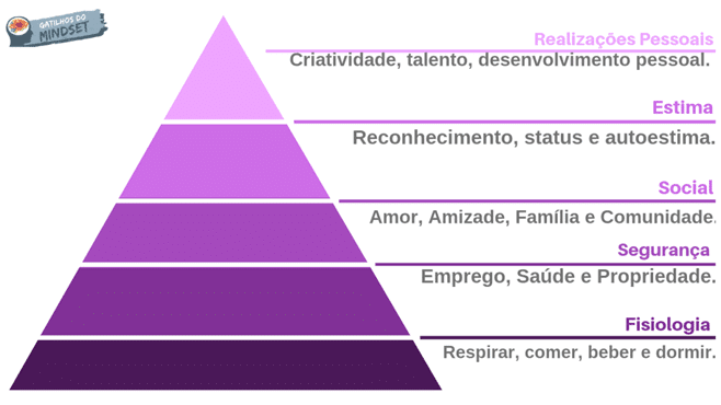 imagem 9